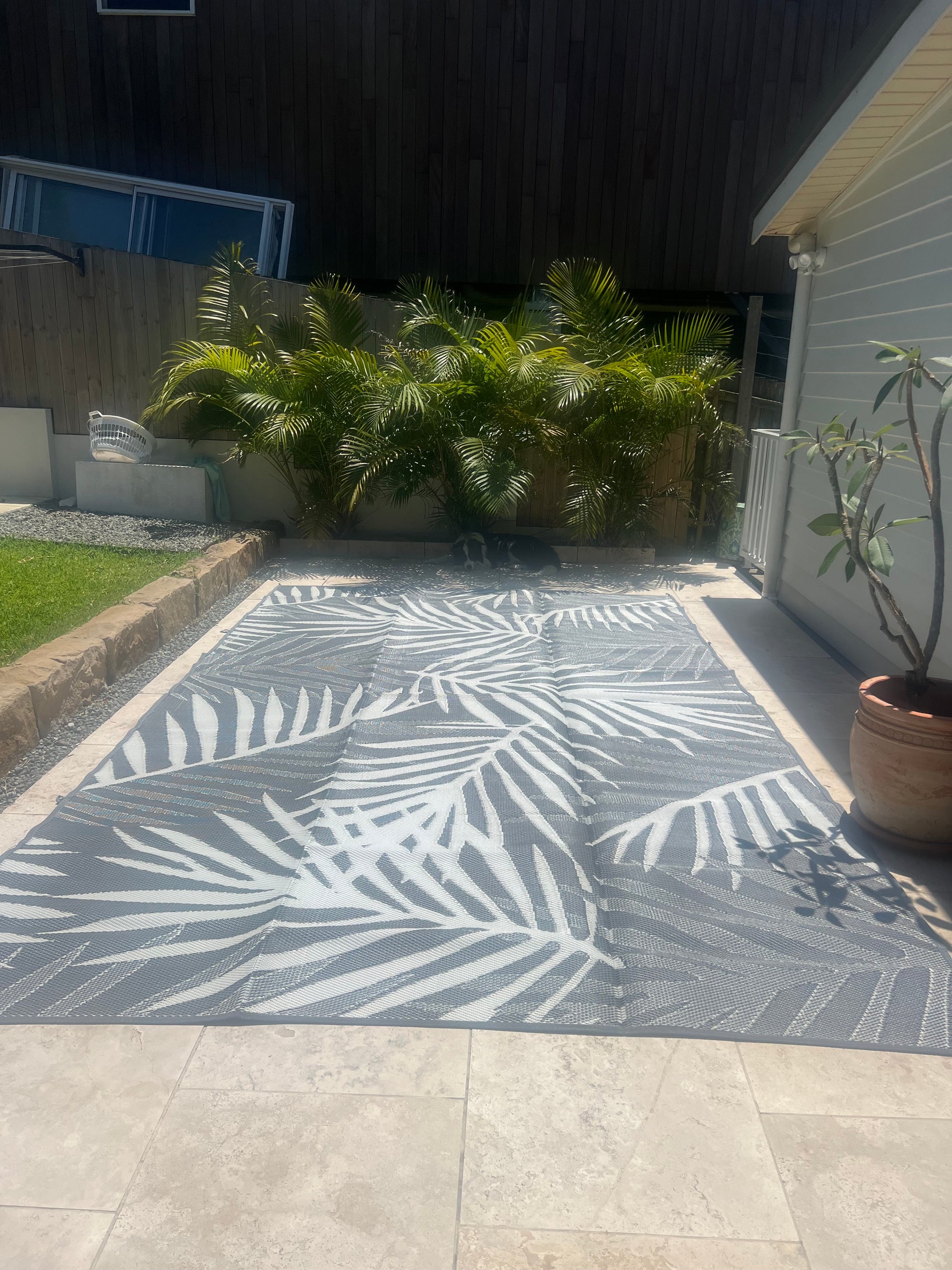 PALM ECLIPSE 6 METRE MAT