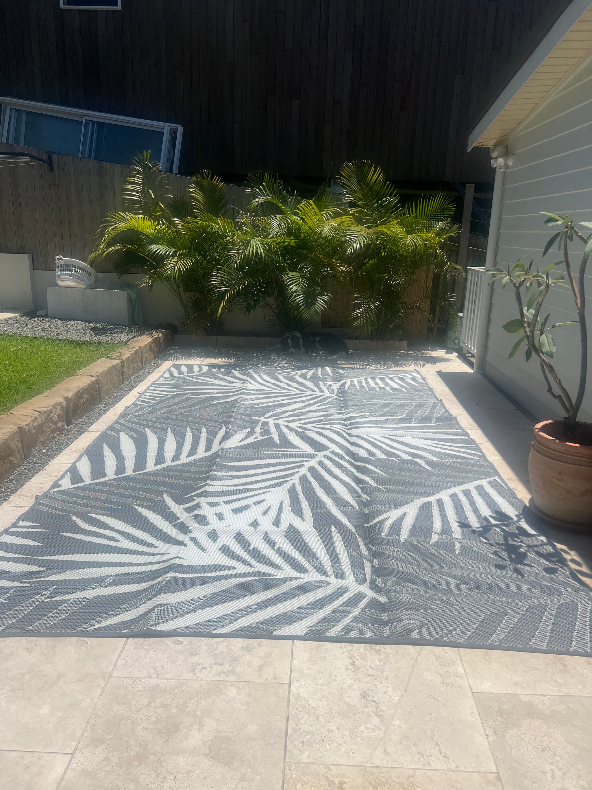 PALM ECLIPSE 6 METRE MAT